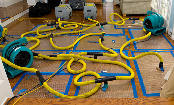 Professional Sewage Cleanup technician working in Fox River Grove, IL